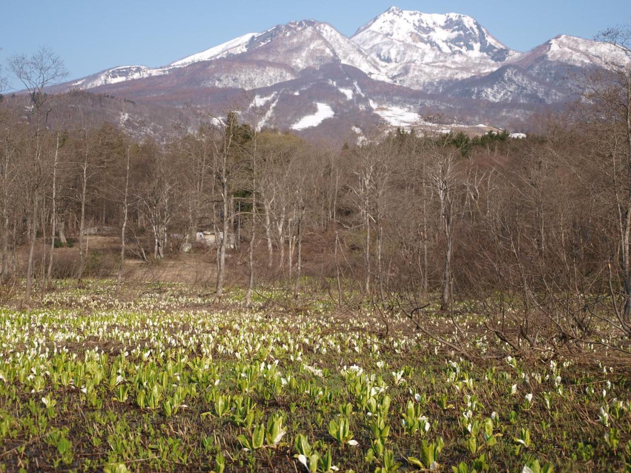 Pension Moomin Papa Myoko Exterior photo