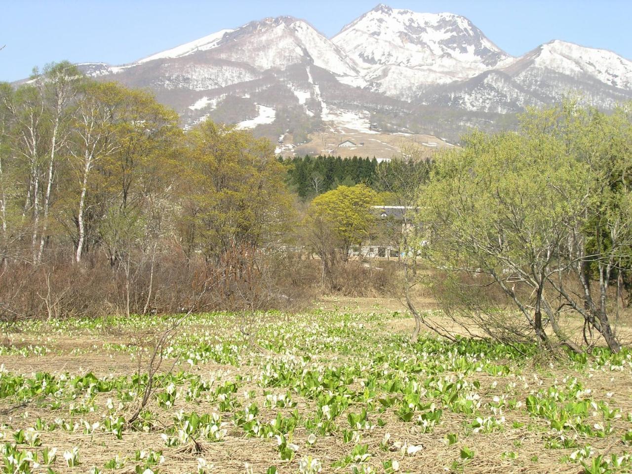 Pension Moomin Papa Myoko Exterior photo