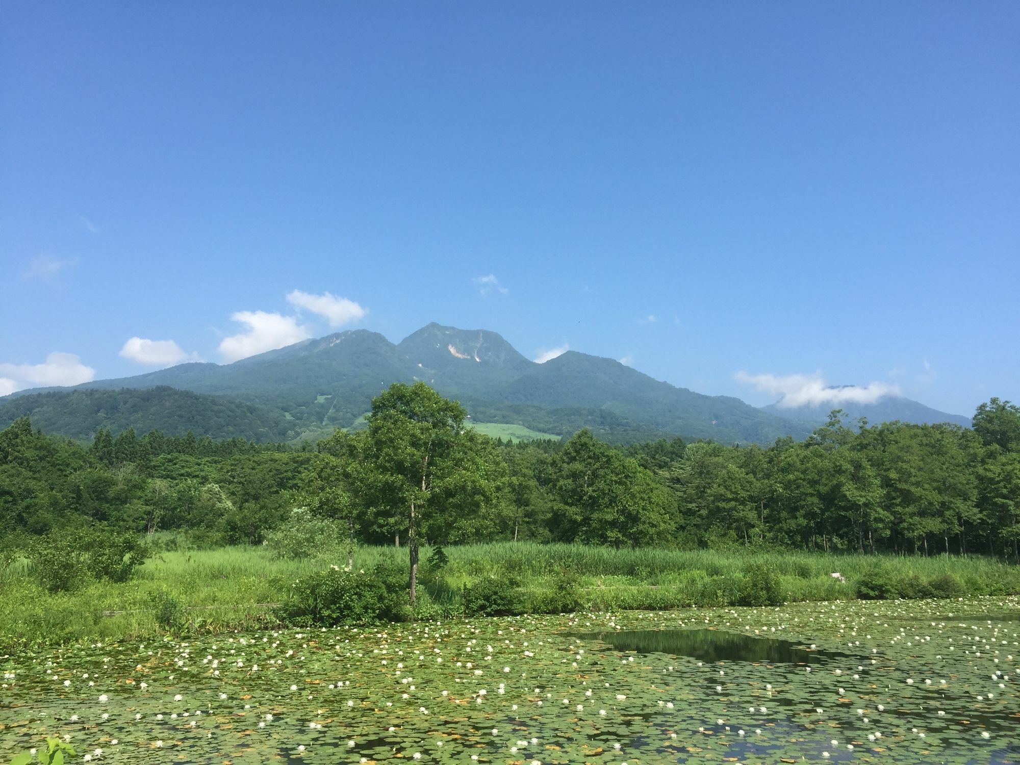 Pension Moomin Papa Myoko Exterior photo